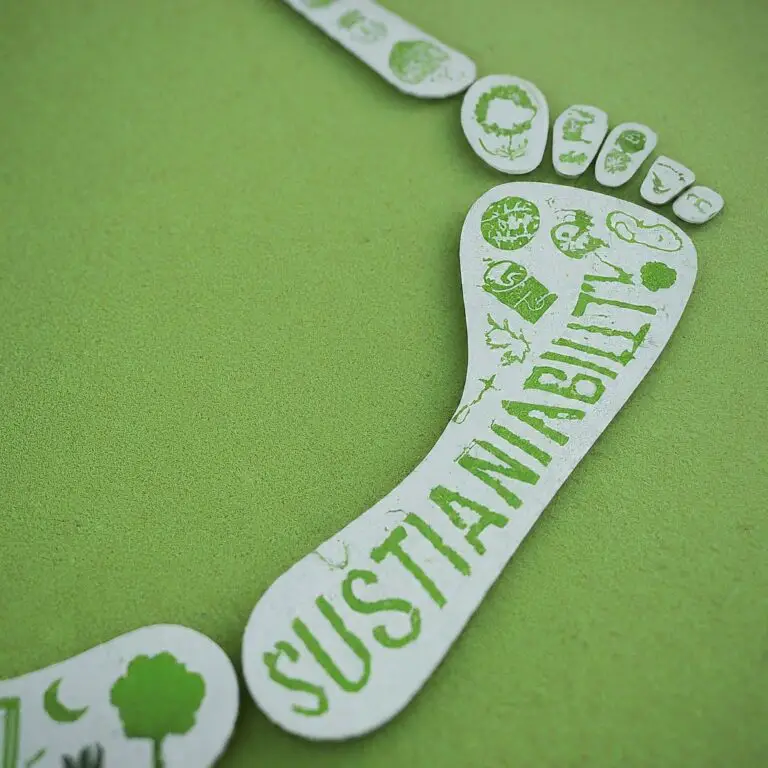 Footprint with 'SUSTAINABILITY' text and green icons on an eco-friendly background, representing sustainable marketing strategies.